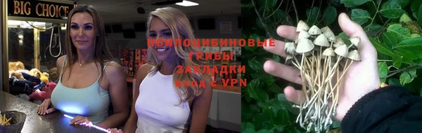 меф Осинники