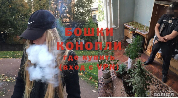 spice Осташков