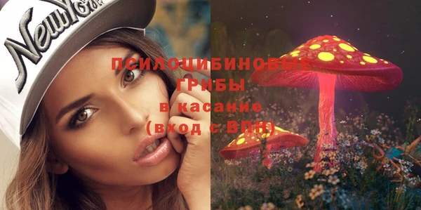 меф Осинники