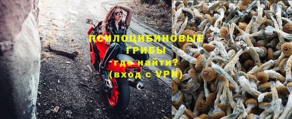 PSILOCYBIN Остров