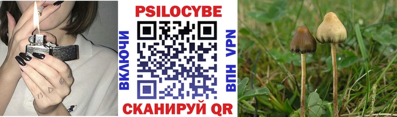 Псилоцибиновые грибы Cubensis  где найти   площадка какой сайт  Харовск 